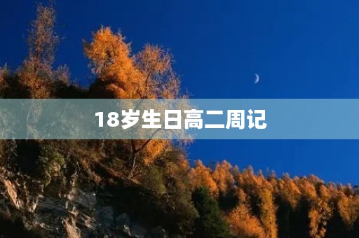 18岁生日高二周记