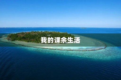 我的课余生活