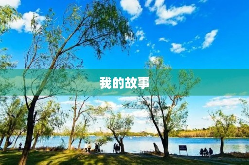 我的故事