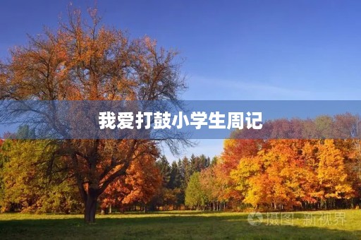 我爱打鼓小学生周记