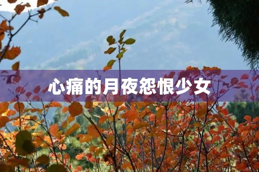 心痛的月夜怨恨少女