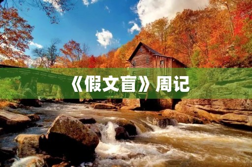 《假文盲》周记