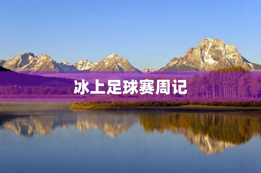 冰上足球赛周记 冰上足球赛周记