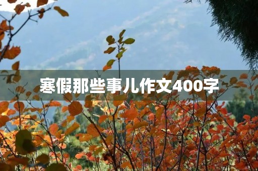 寒假那些事儿作文400字 寒假那些事儿作文400字