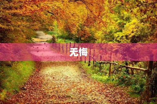 无悔