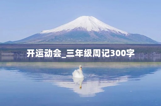 开运动会_三年级周记300字