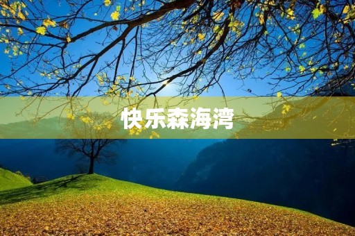 快乐森海湾