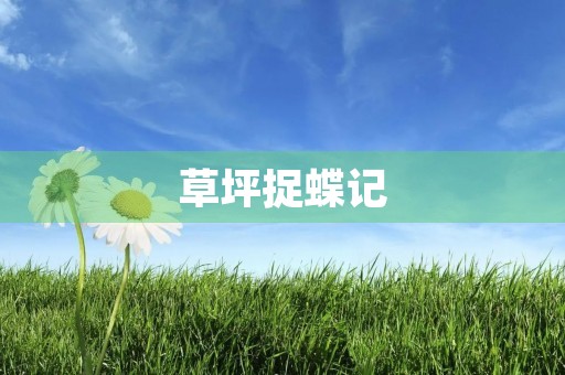 草坪捉蝶记 草坪捉蝶记