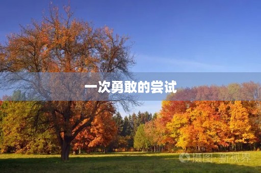 一次勇敢的尝试 一次勇敢的尝试