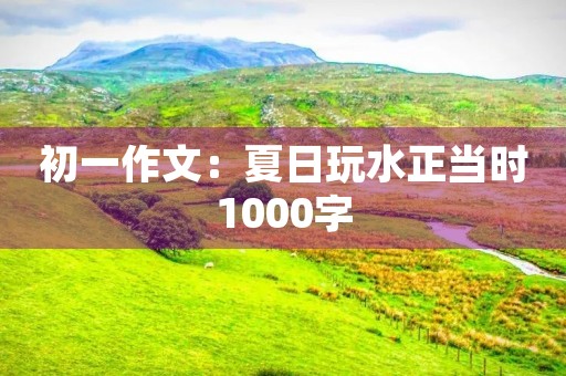 初一作文：夏日玩水正当时1000字