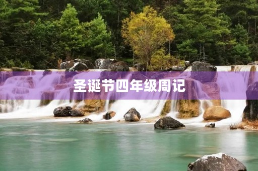 圣诞节四年级周记