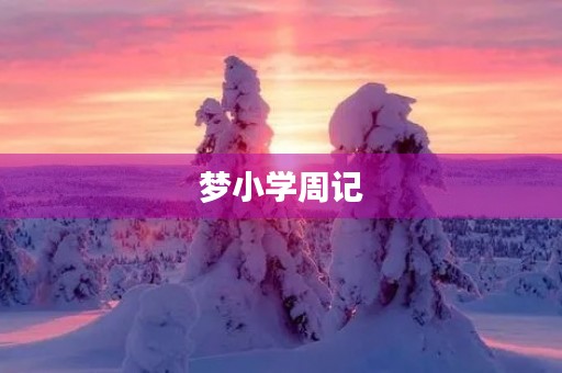 梦小学周记 梦小学周记
