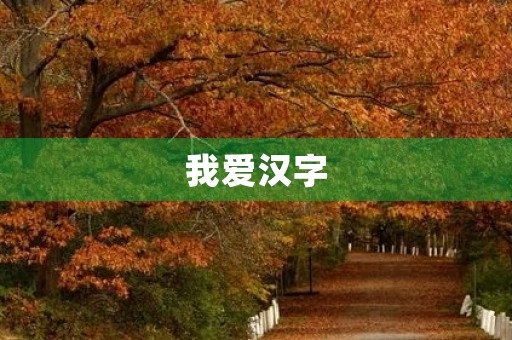 我爱汉字 我爱汉字