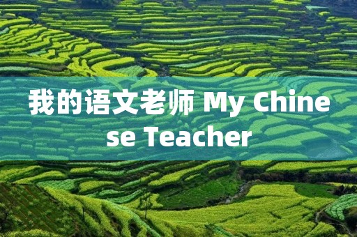 我的语文老师 My Chinese Teacher
