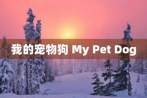 我的宠物狗 My Pet Dog