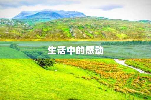 生活中的感动 生活中的感动