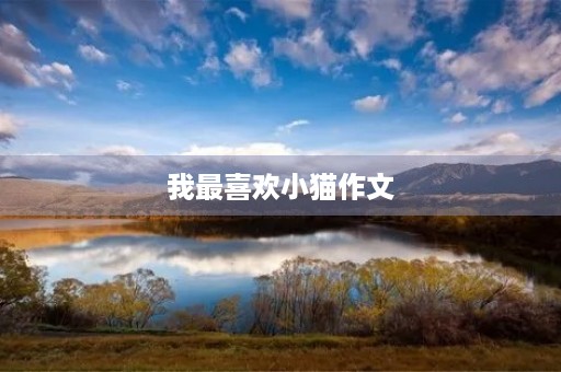 我最喜欢小猫作文 我最喜欢小猫作文