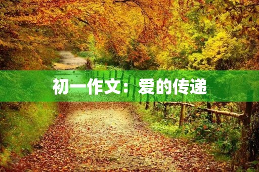 初一作文:爱的传递 初一作文:爱的传递
