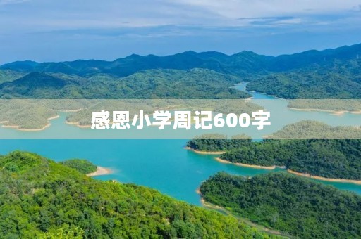 感恩小学周记600字 感恩小学周记600字