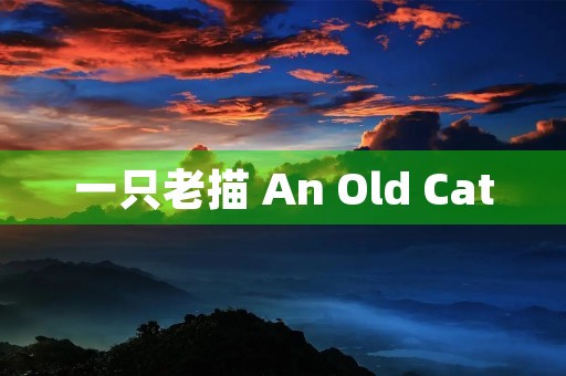 一只老描 An Old Cat