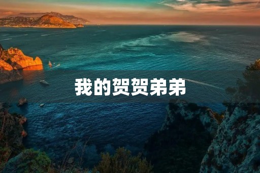 我的贺贺弟弟