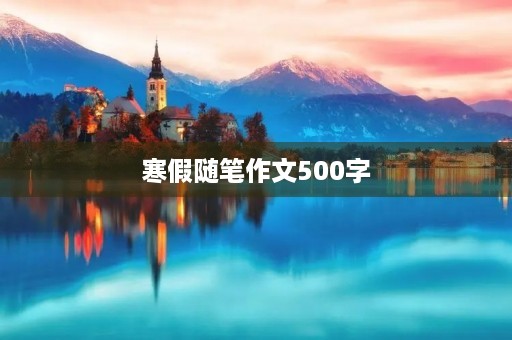 寒假随笔作文500字