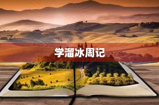 学溜冰周记
