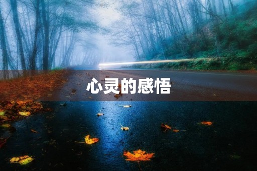 心灵的感悟