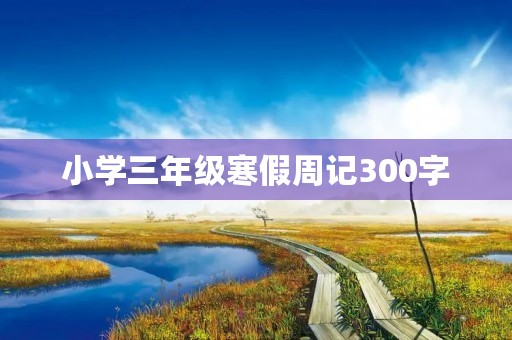 小学三年级寒假周记300字 小学三年级寒假周记300字