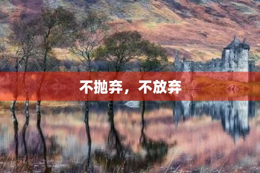 不抛弃，不放弃