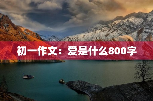 初一作文：爱是什么800字