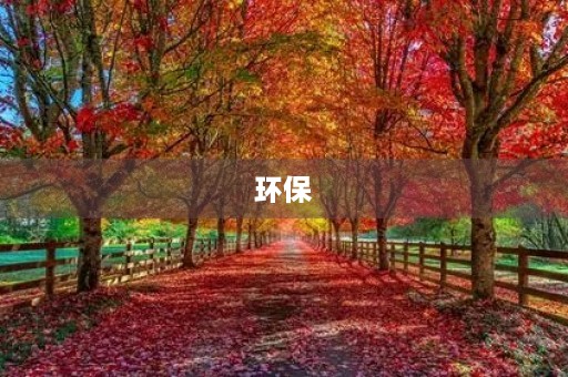 环保
