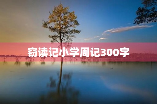窃读记小学周记300字