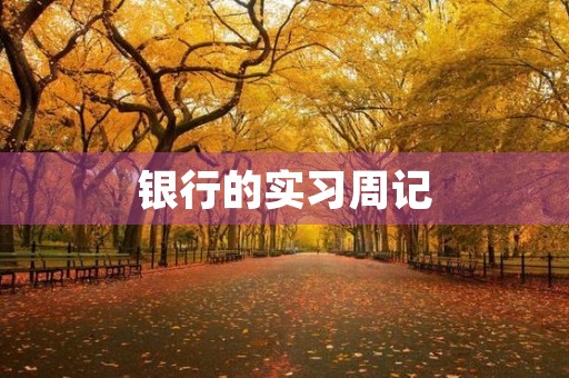 银行的实习周记 银行的实习周记