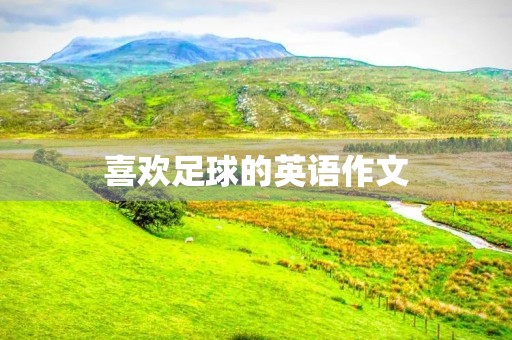喜欢足球的英语作文 喜欢足球的英语作文