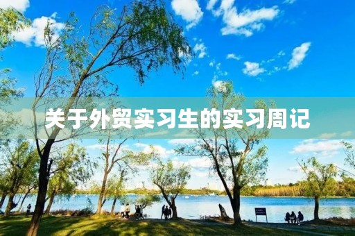 关于外贸实习生的实习周记