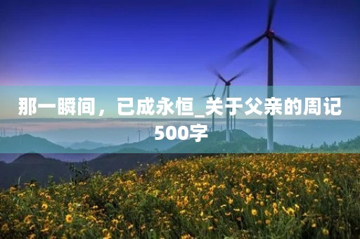 那一瞬间，已成永恒_关于父亲的周记500字