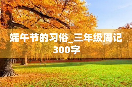 端午节的习俗_三年级周记300字