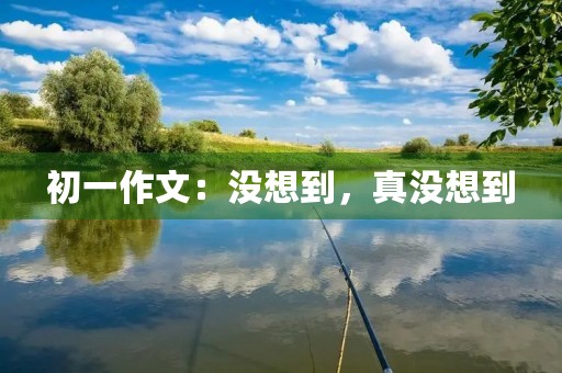 初一作文：没想到，真没想到