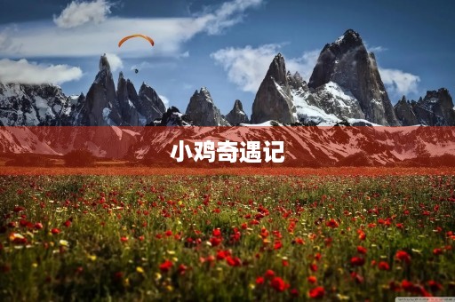 小鸡奇遇记 小鸡奇遇记