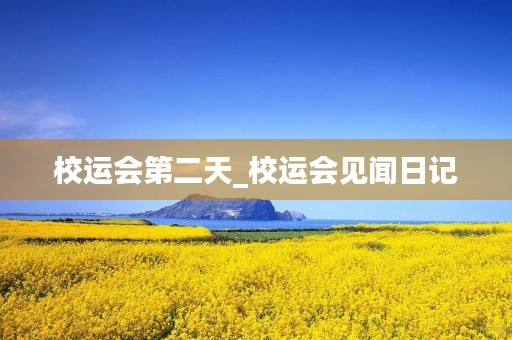 校运会第二天_校运会见闻日记