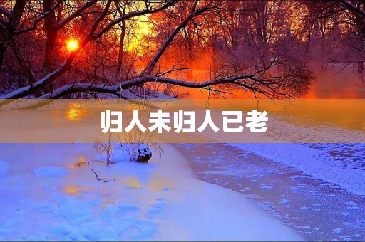 归人未归人已老
