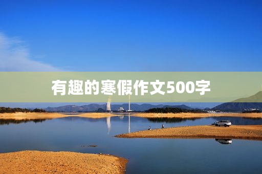 有趣的寒假作文500字