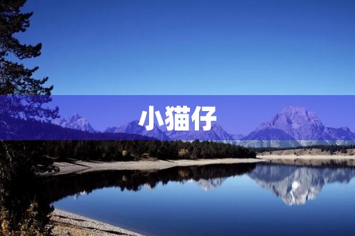 小猫仔
