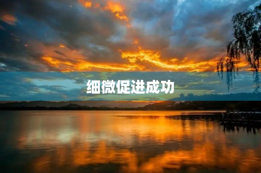 细微促进成功 细微促进成功
