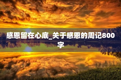 感恩留在心底_关于感恩的周记800字