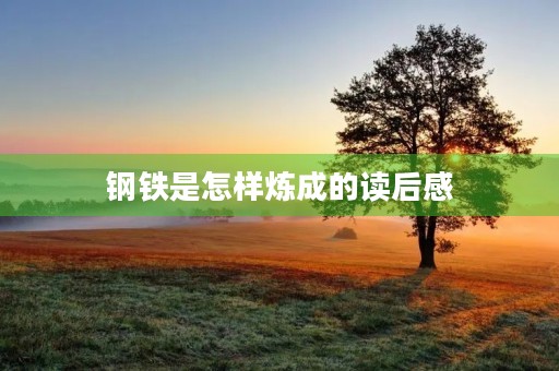 钢铁是怎样炼成的读后感