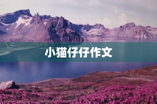 小猫仔仔作文