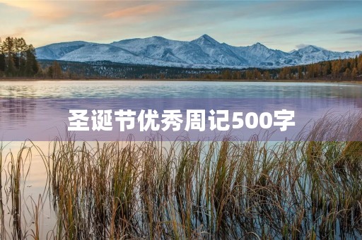 圣诞节优秀周记500字 圣诞节优秀周记500字