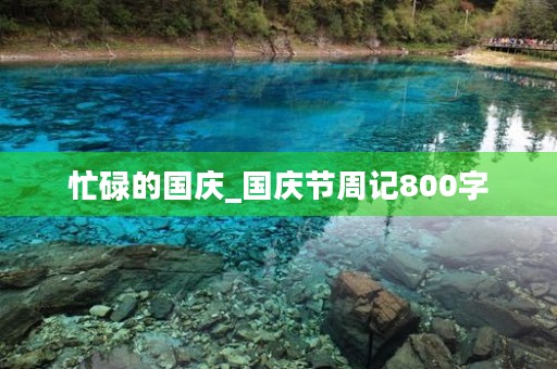 忙碌的国庆_国庆节周记800字 忙碌的国庆_国庆节周记800字